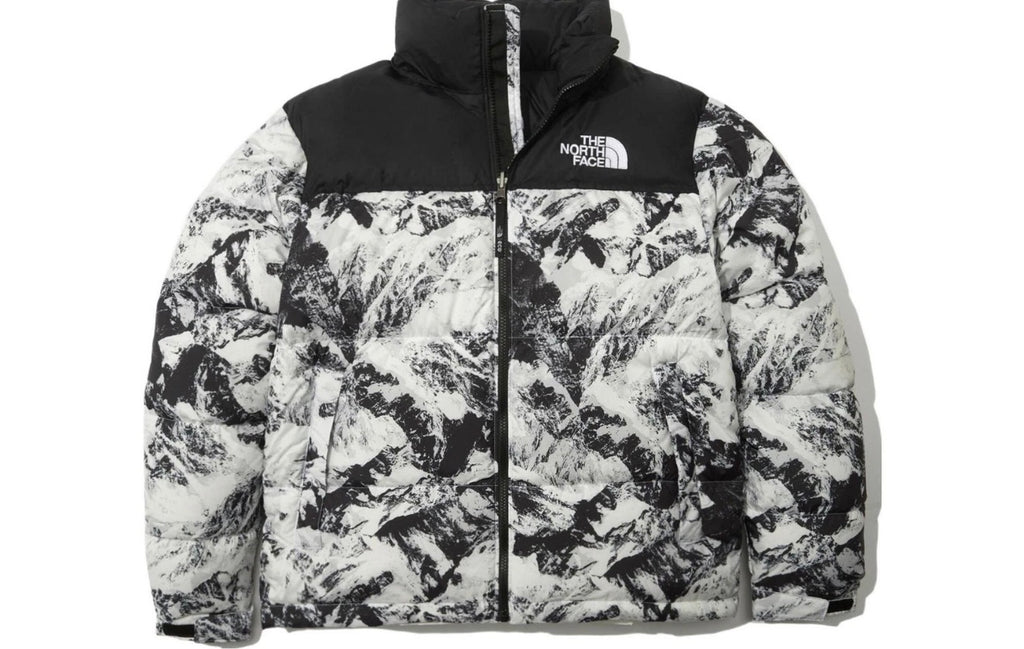 The North Face 1996 Novelty Nuptse Jacket