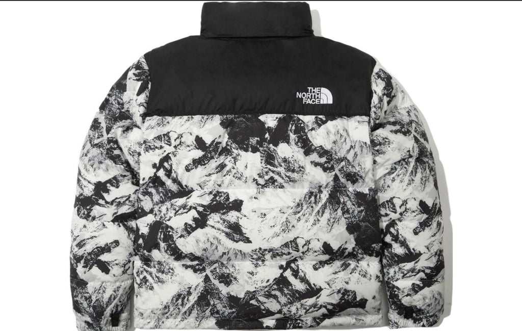 The North Face 1996 Novelty Nuptse Jacket