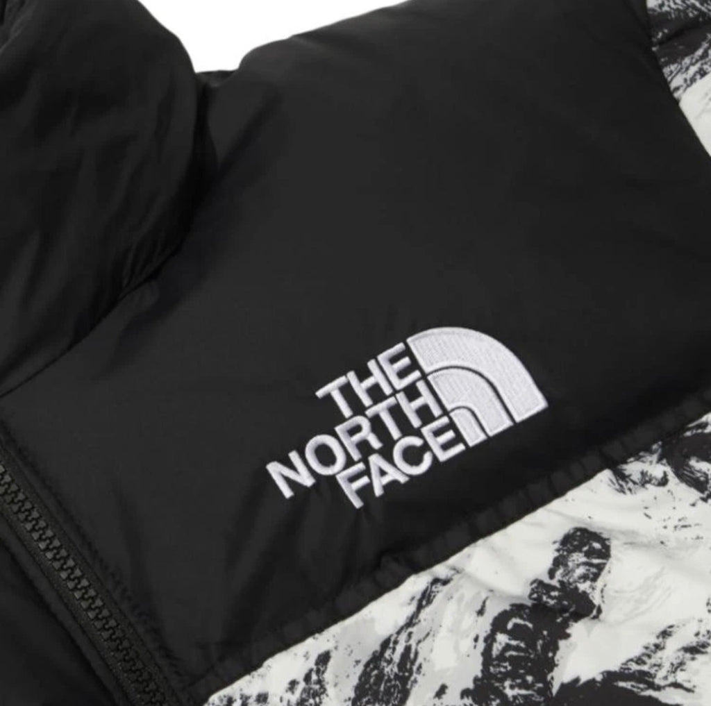 The North Face 1996 Novelty Nuptse Jacket