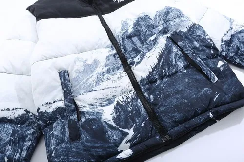 The North Face 1996 Retro Nuptse jacket