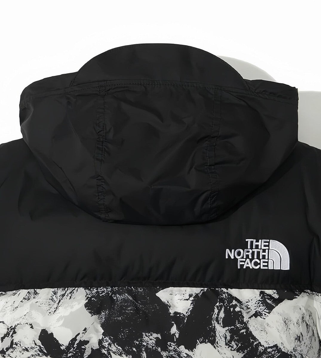 The North Face 1996 Novelty Nuptse Jacket