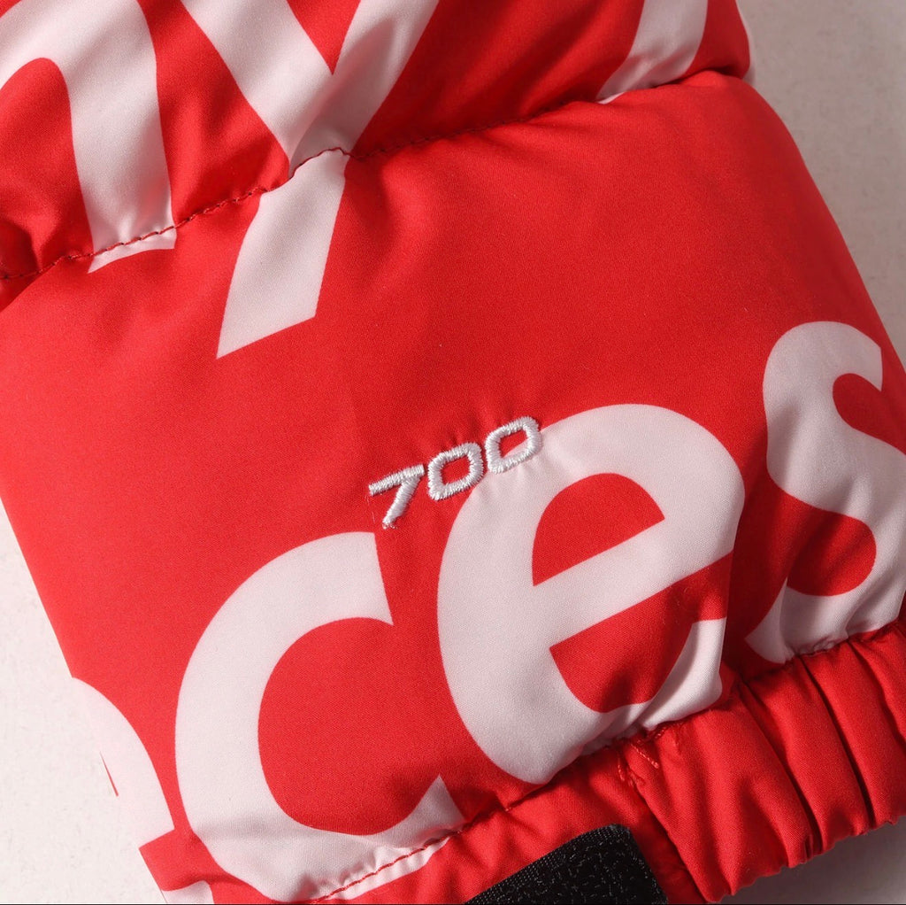 Supreme x The North Face “By Any Means”